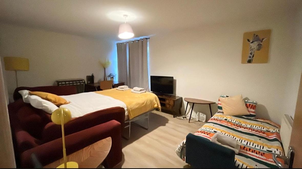 Spacious City Centre Flat Free Parking& Superfast Wifi เอดินบะระ ภายนอก รูปภาพ